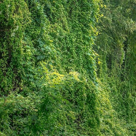 Turisticna Kmetija Stanfel Villa Podsabotin Exteriör bild
